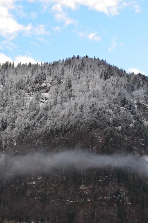 Вилла Bauernhof Konig Anger  Экстерьер фото