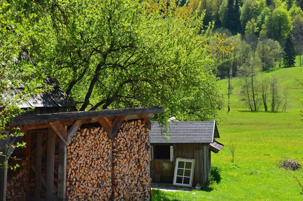 Вилла Bauernhof Konig Anger  Экстерьер фото